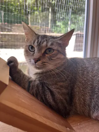 Jasmine