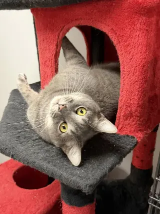 Terrance