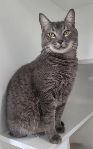 Terrance