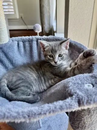Zen