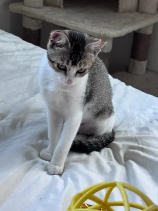 Precious