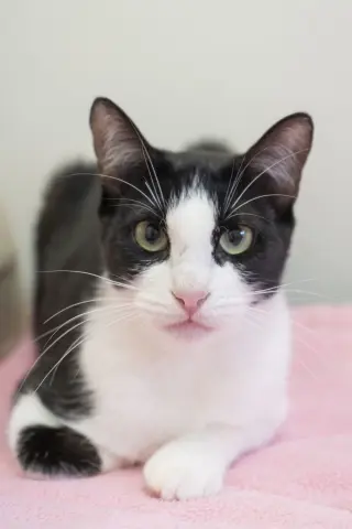 Regina