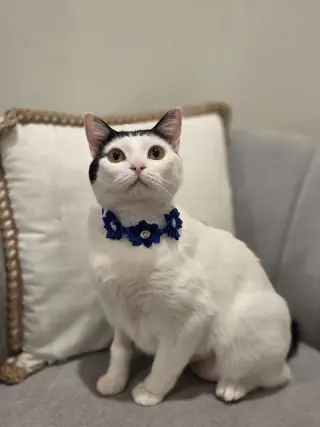 Barbara