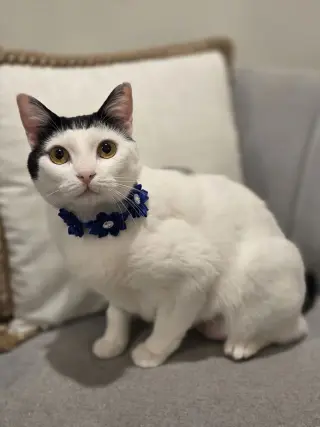 Barbara