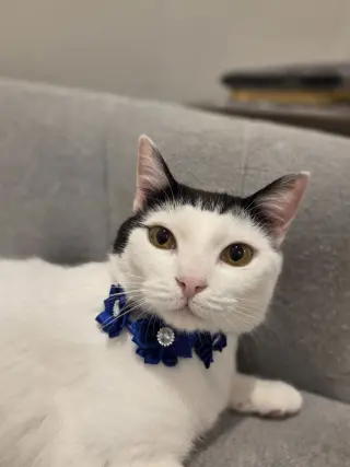 Barbara