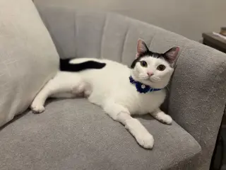 Barbara