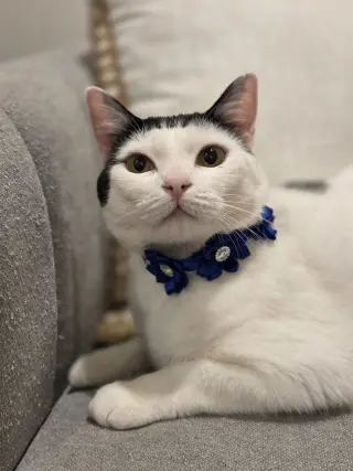 Barbara