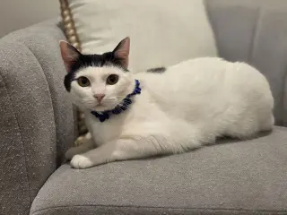 Barbara