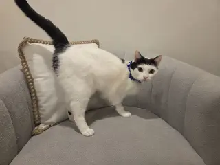 Barbara