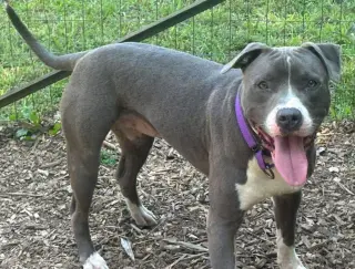 Maverick: At shelter