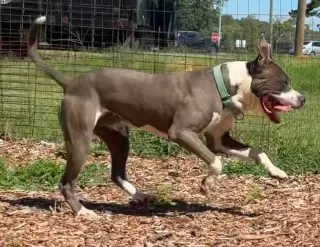 Maverick: At shelter