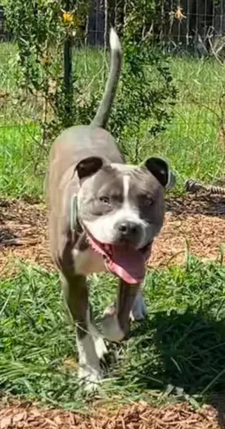 Maverick: At shelter