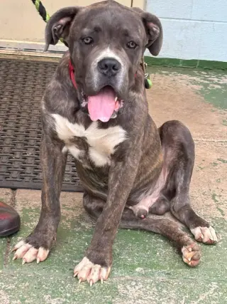 Balder: Not at shelter (Alan)