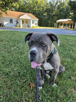 Balder: Not at shelter (Alan)