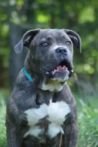Balder: Not at shelter (Alan)