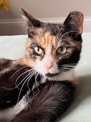 Eleanor: At the shelter