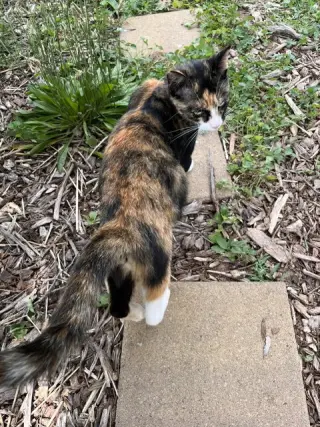 Eleanor: At the shelter