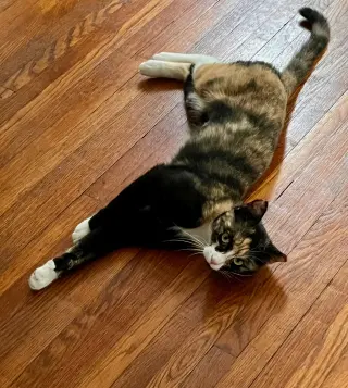 Eleanor: At the shelter
