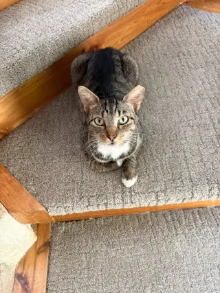 Sir Winston