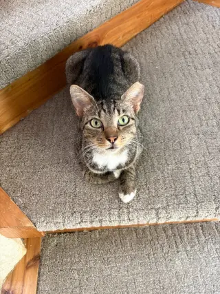 Sir Winston