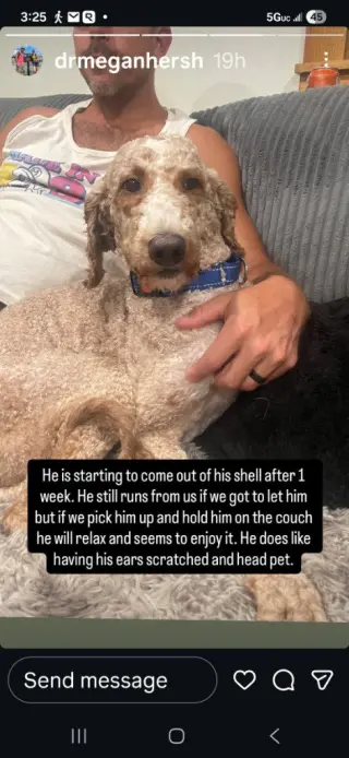 Kermit