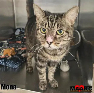 Mona