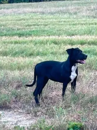 Sally