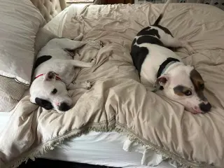 Sam & Izzy