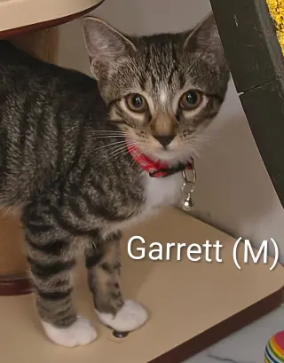 Garrett