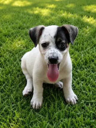 Venus - Beautiful Girl!