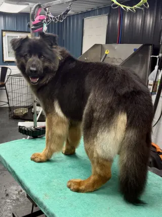 Sammy