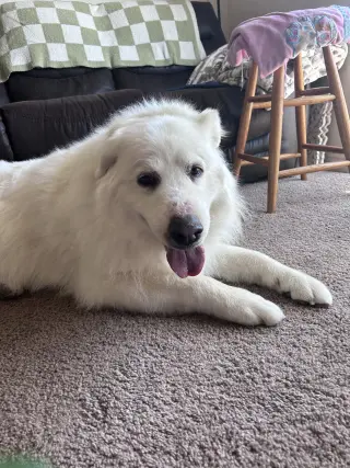 Dakota/Kota