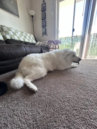 Dakota/Kota