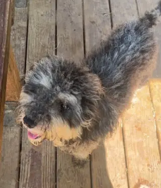 261279  Maddie