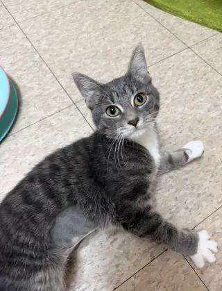 Jenna (MUST BE ADOPTED W JILL)