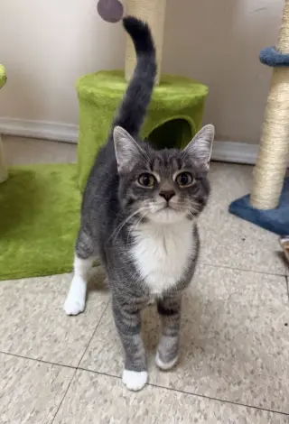 Jenna (MUST BE ADOPTED W JILL)