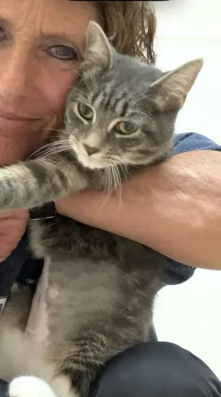 Jenna (MUST BE ADOPTED W JILL)