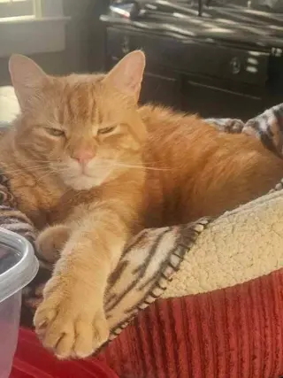 Max