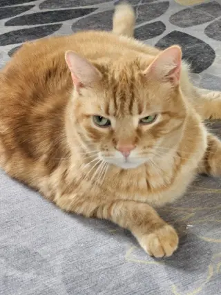 Max