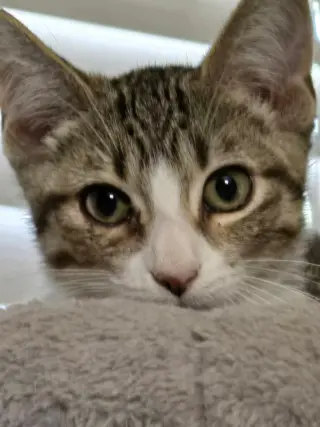 Mikayla