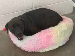 Ethel