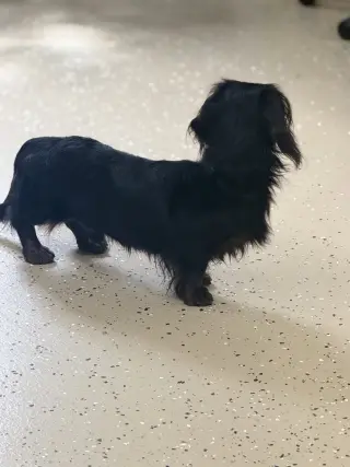 Bobby