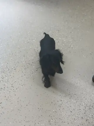 Bobby