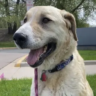 Winnie