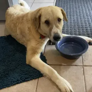 Winnie