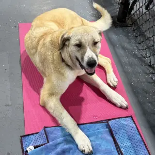 Winnie