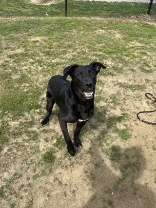 Marlo