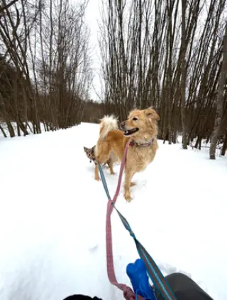 Marley*