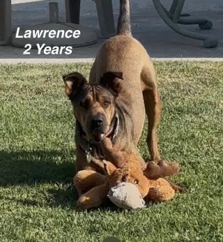 Lawrence