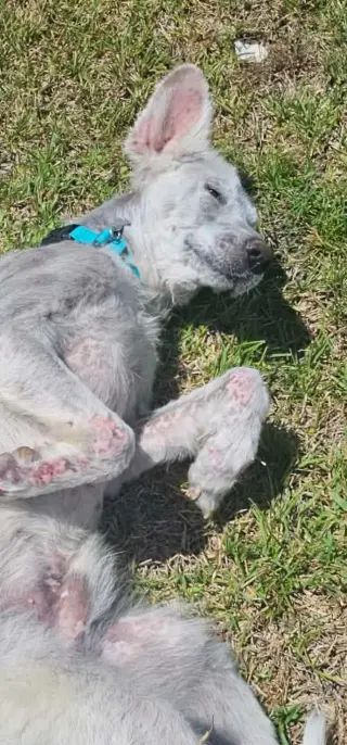 Casper
